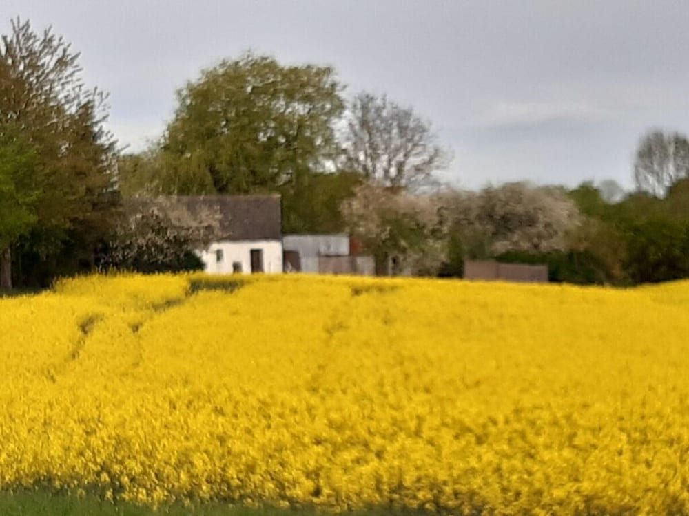 Old Pilot's House