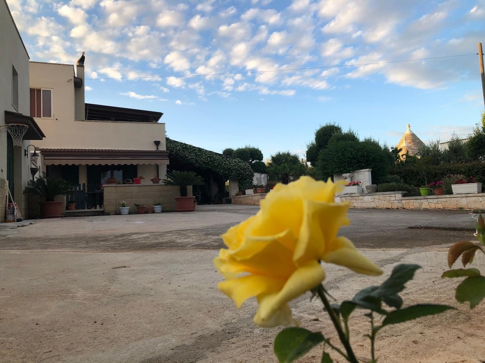 B&B Delle Rondini