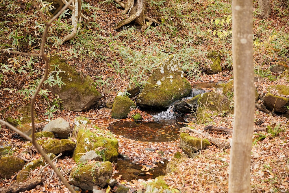 rinne 2nd living Nasu Creek