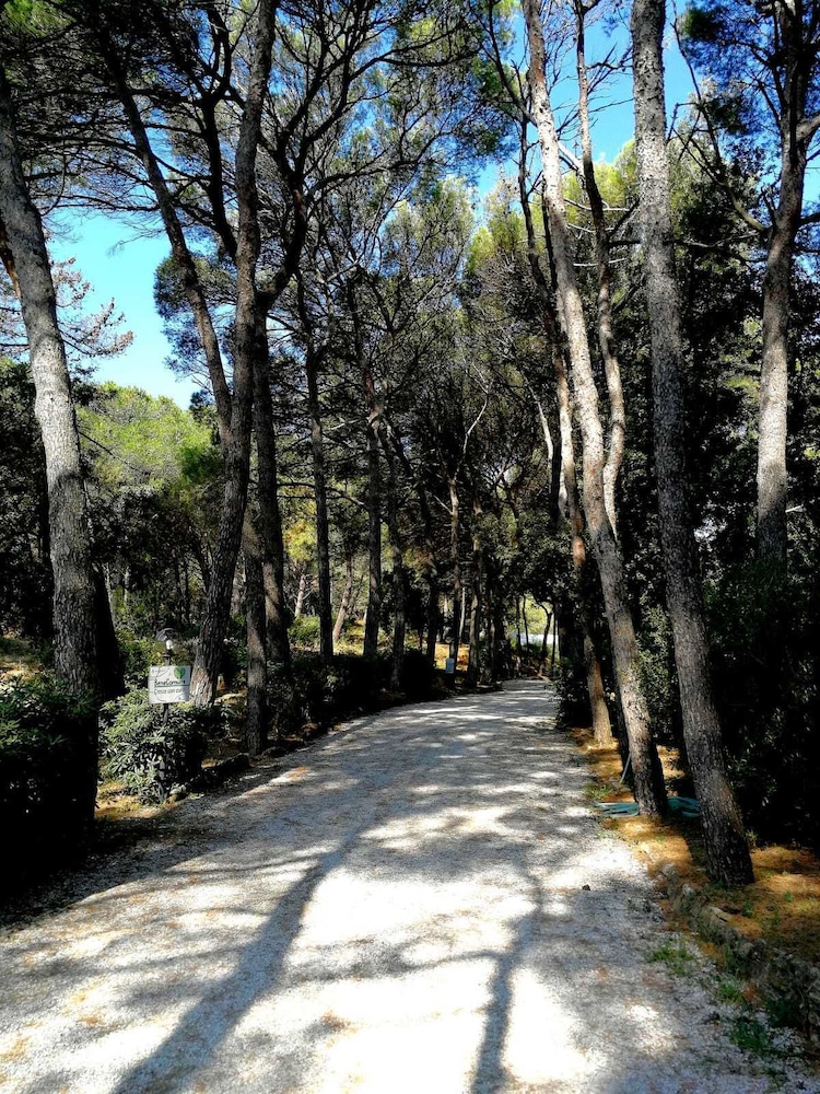 Casa Vacanza Bibbona