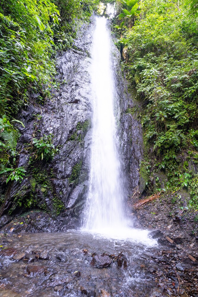 Casa de campo Los Yungas
