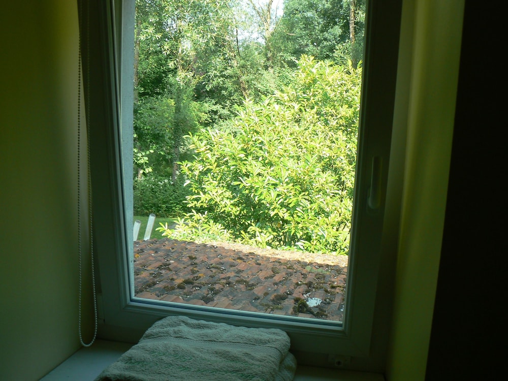 Photo 26