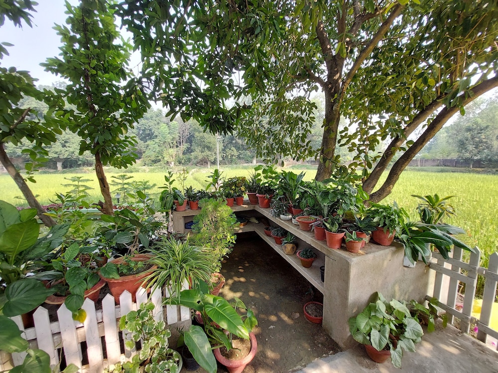 Koko's Farm