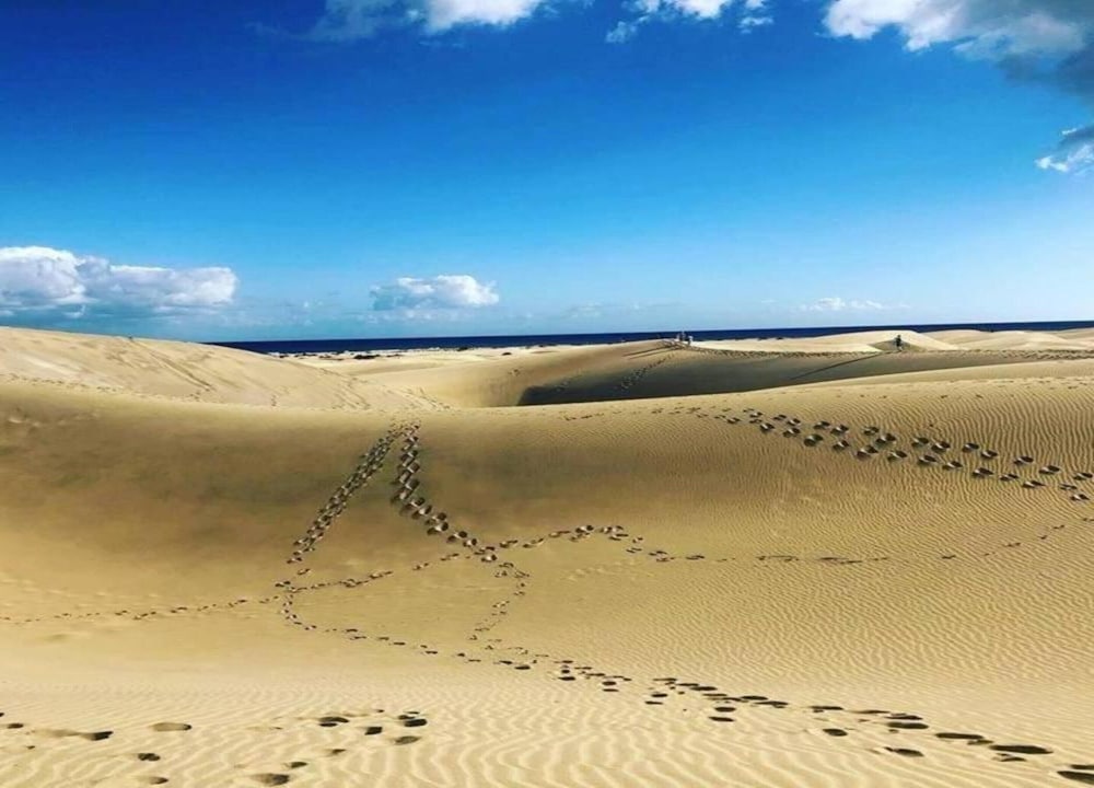Apartment in Gran Canaria Near Maspalomas Dunes
