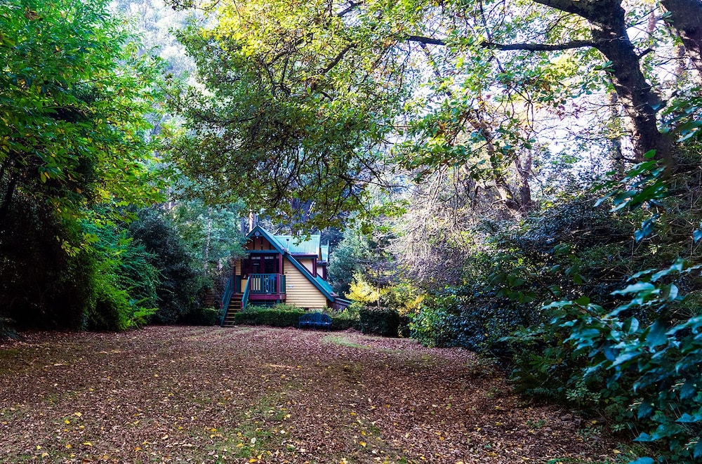 Photo 64