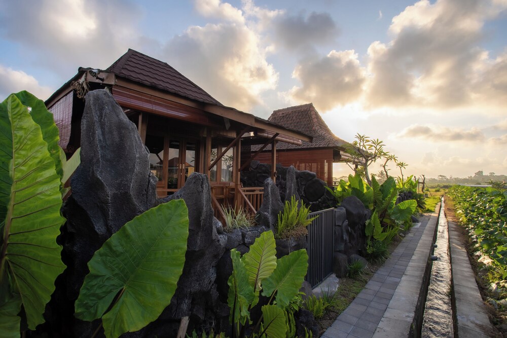 Sun Harvest Bali