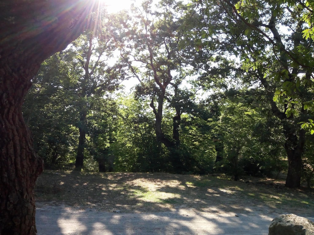 Parco dei Crisciuni Villaggio Camping