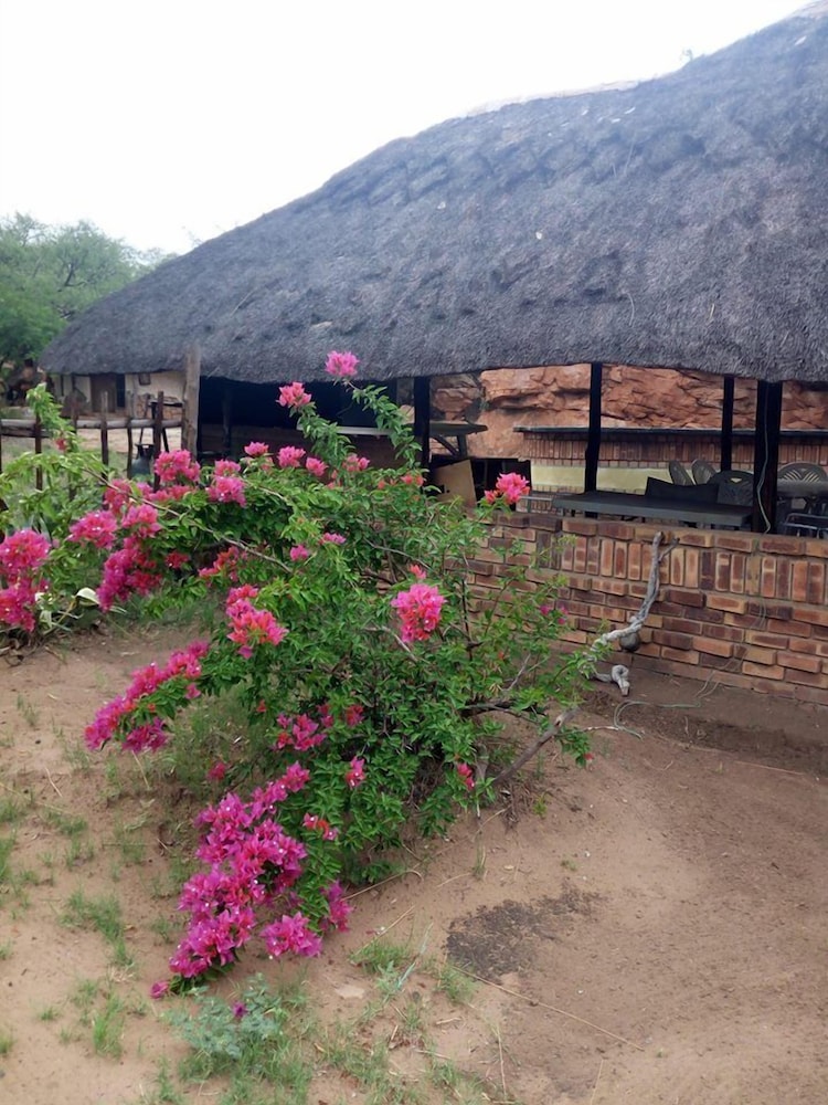 Masama Lodge and Campsite