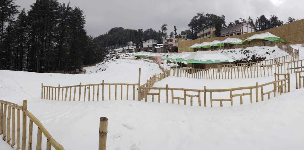 Junglee Camps & Resort view 2
