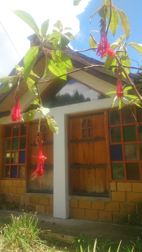 The Lost Leprechaun Ecohostel