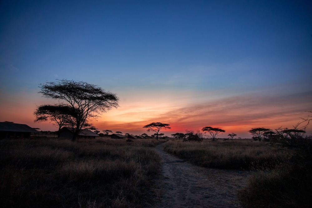 Mawe Luxury Tented Camp