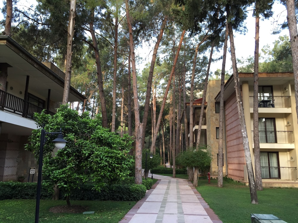 Champion Holiday Village - All Inclusive