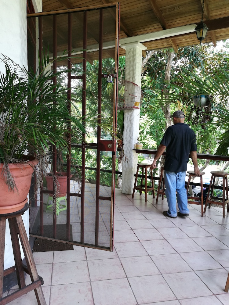 Photo 44