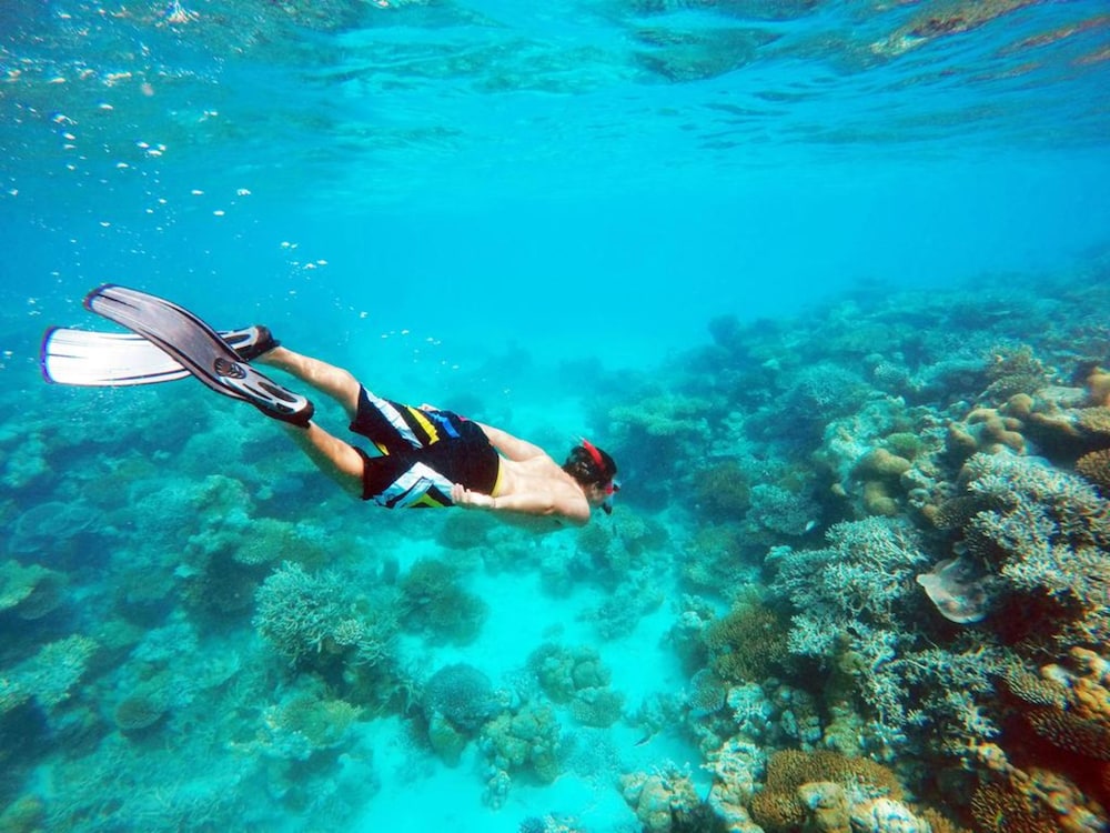 Bibee Maldives