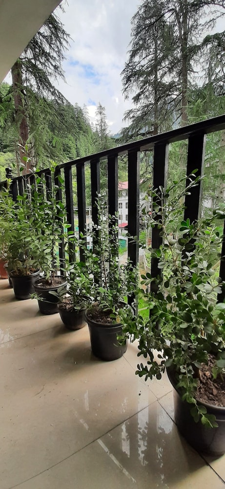 Hotel Aman Palace Kasol view 5