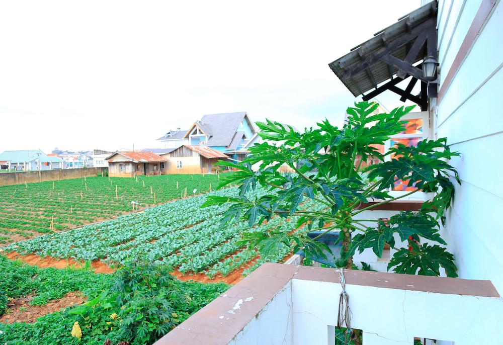 Hoai Huong Homestay
