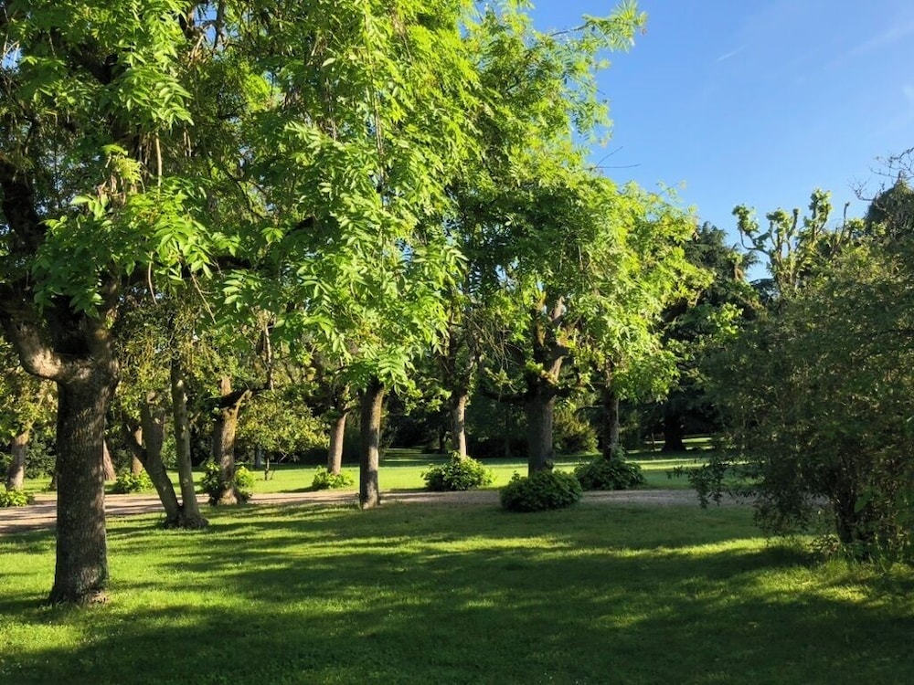 Photo 28
