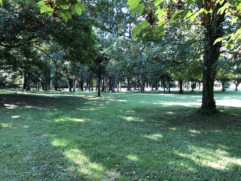Photo 30