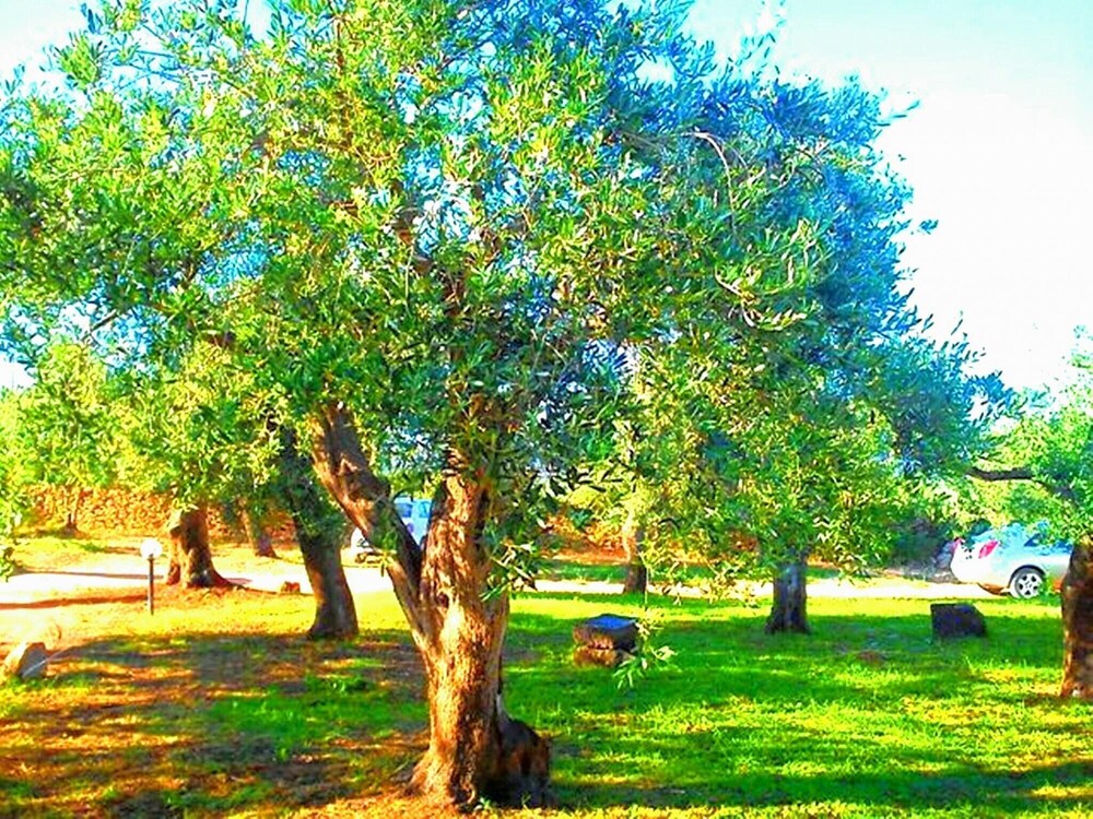 Photo 28