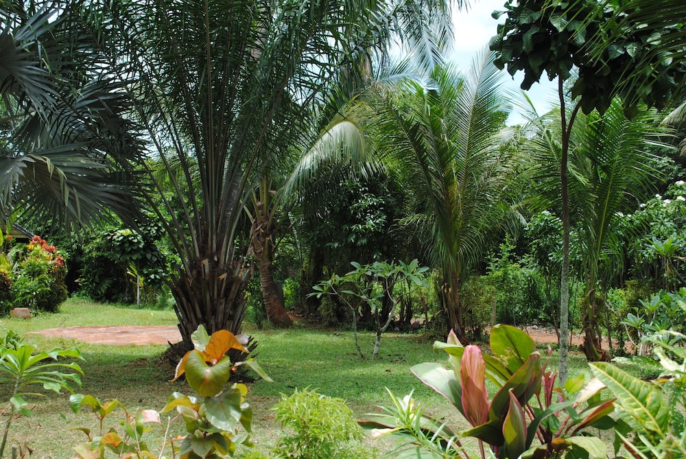 Photo 48