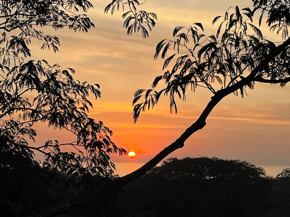 Olas de Oro Nosara