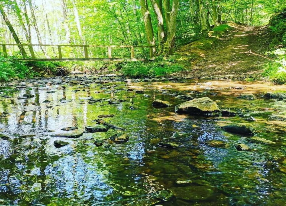 Woodland Lodge Retreat in the Ardennes