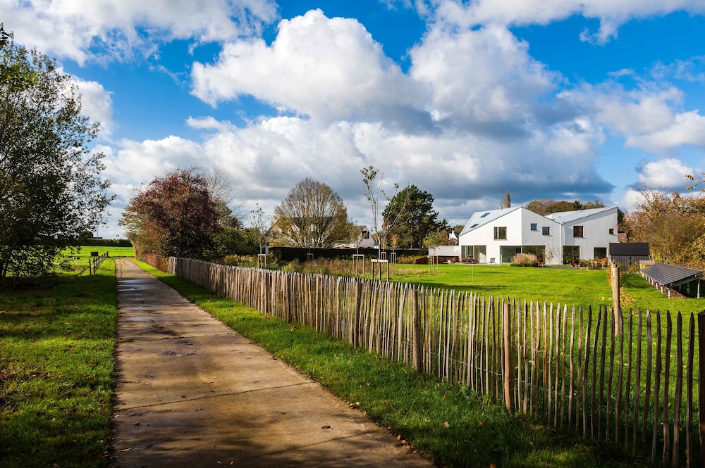 Dimensions M