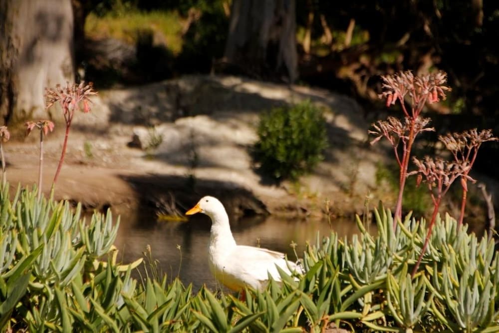 BOTTERKLOOF RESORT