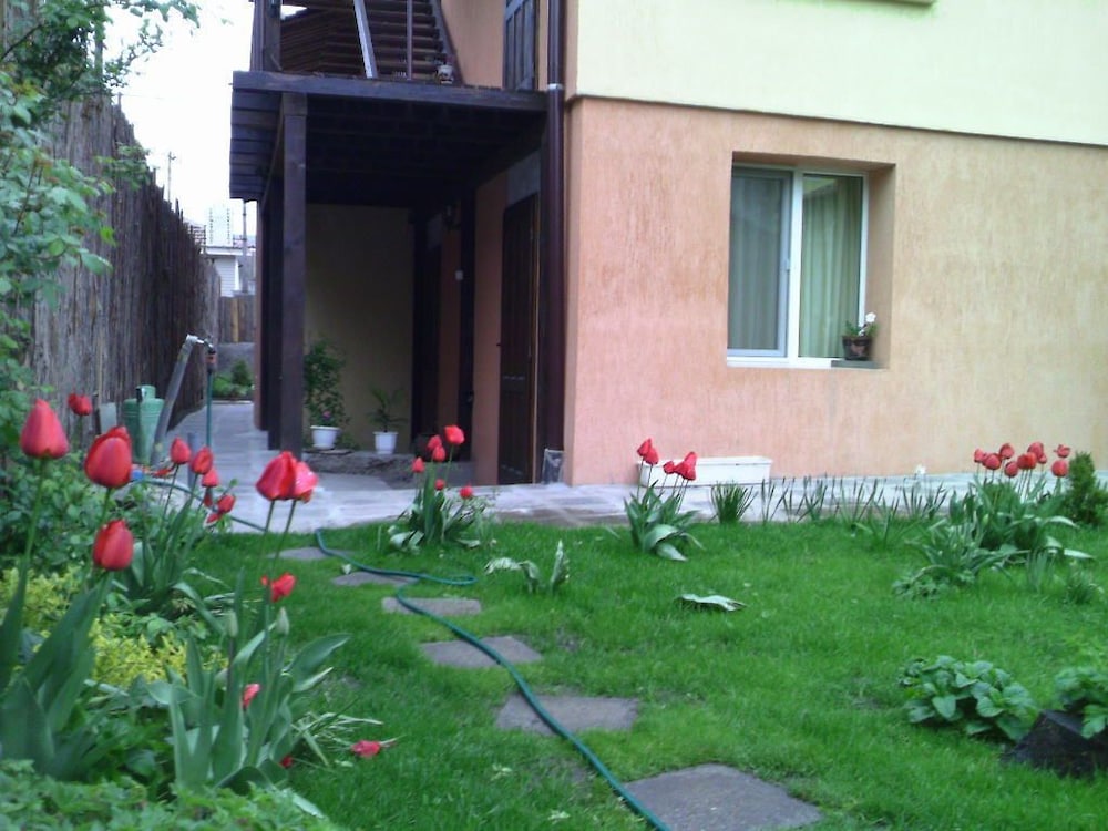 Photo 29