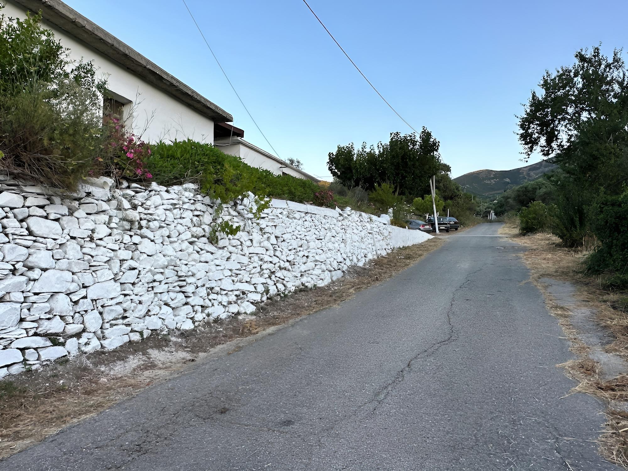 Photo 24