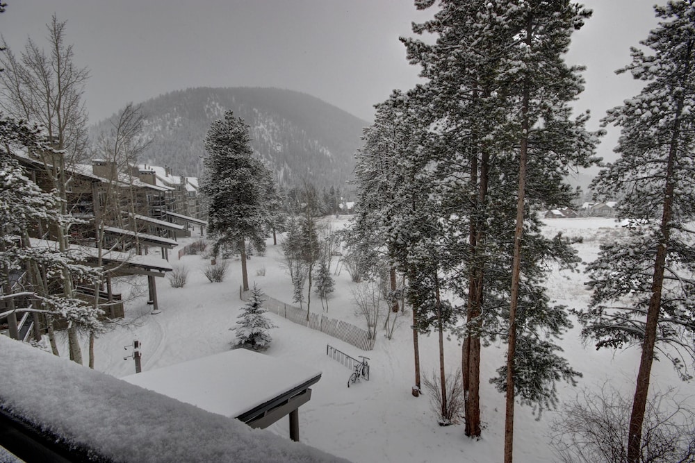 Pines 2169