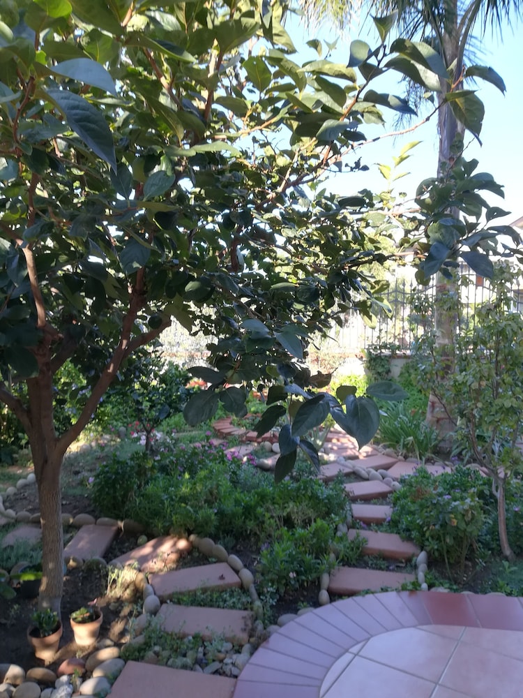La Collina B&B, photo 62