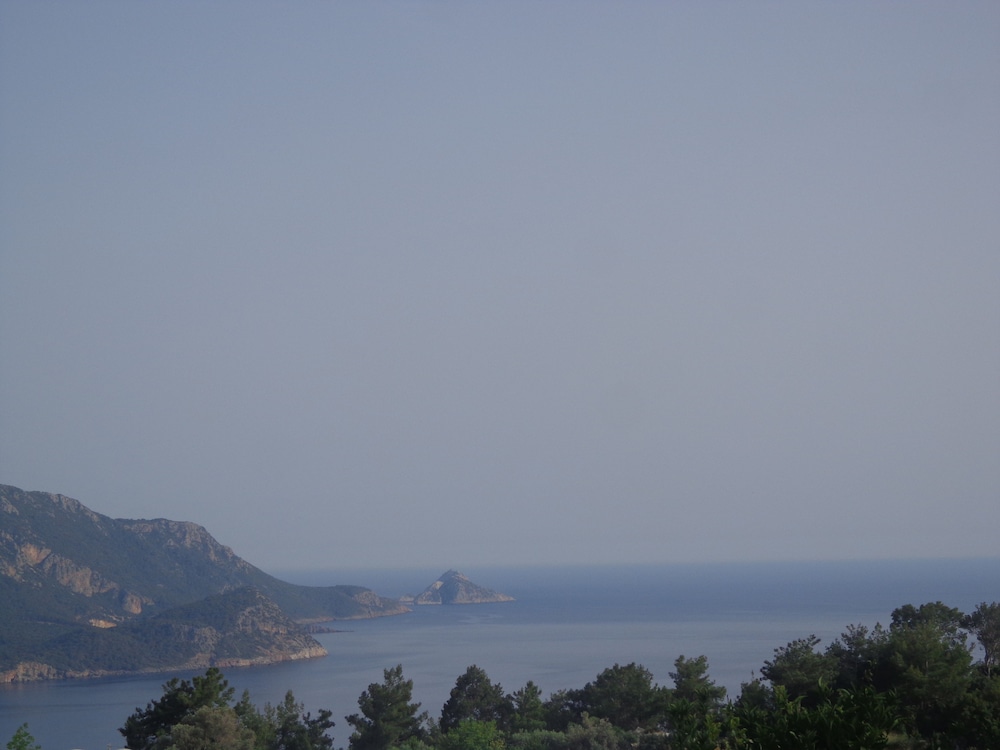 Photo 25