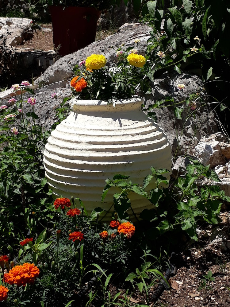 La Casa Di Nonna Anna
