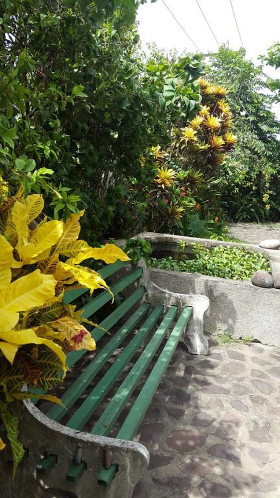 Almond Tree Guest House