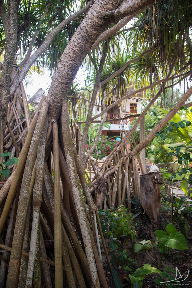 Casa Umoja Guesthouse
