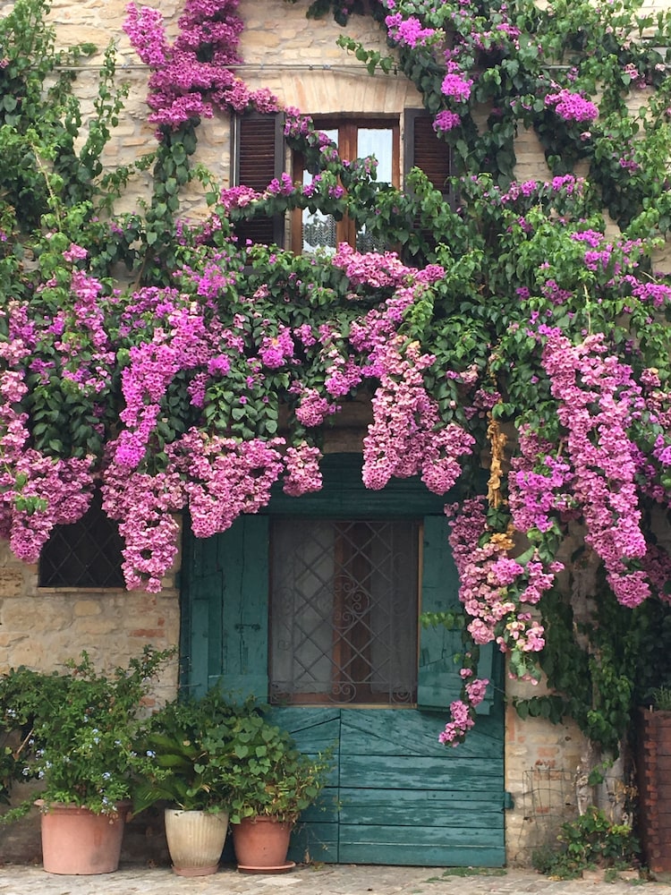 Nonna Rosa Civitanova