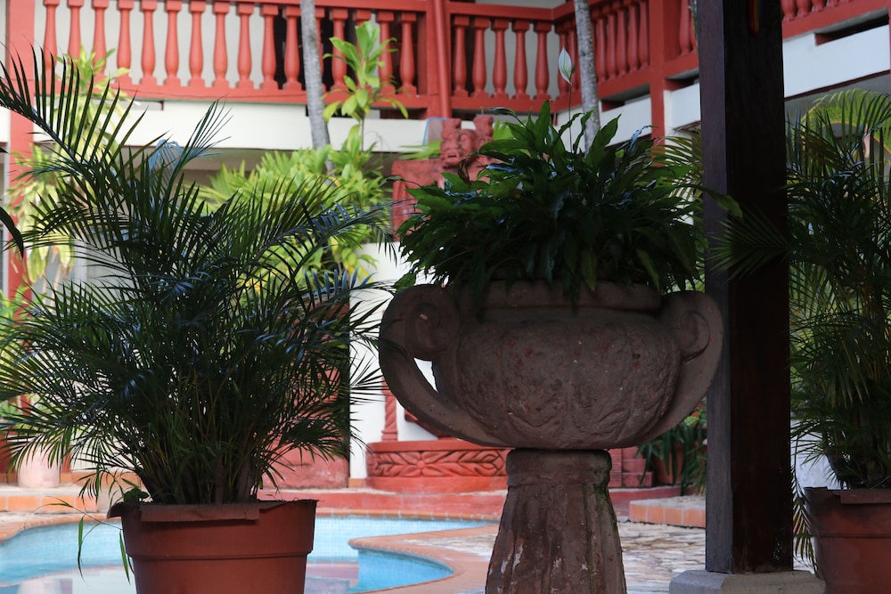 Hotel Buena Vista