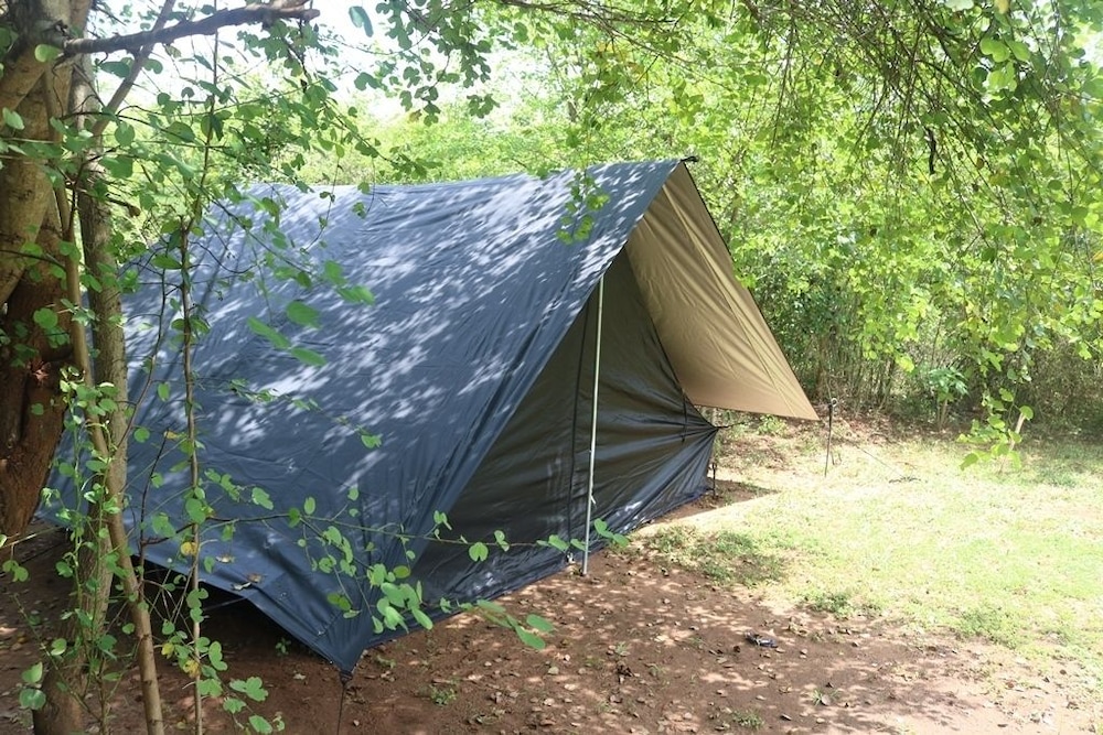 Dev's Campground