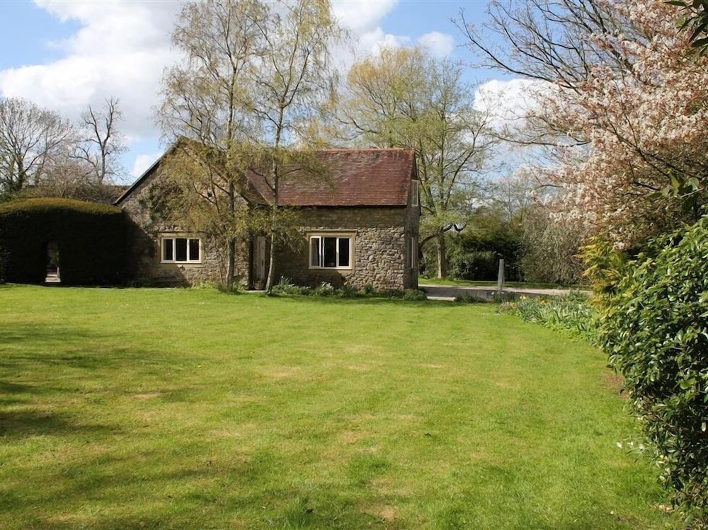 Photo 11