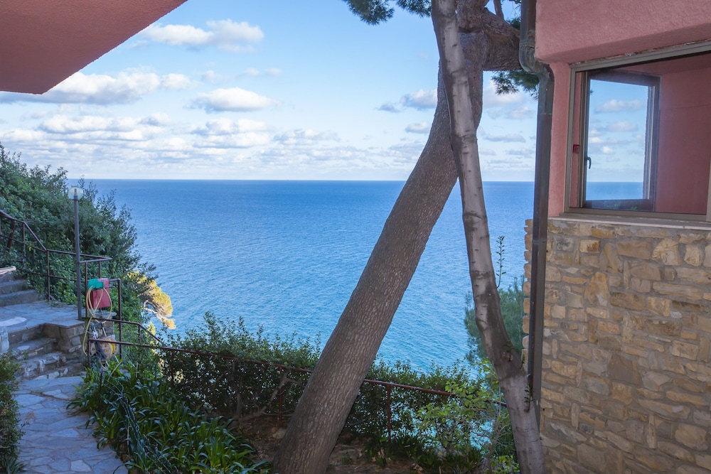 Cervo 319C With Shared Pool view 5