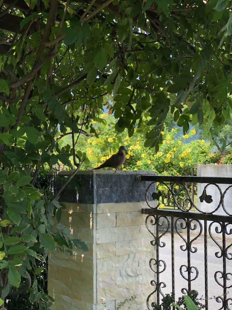 Slow Fly B&B