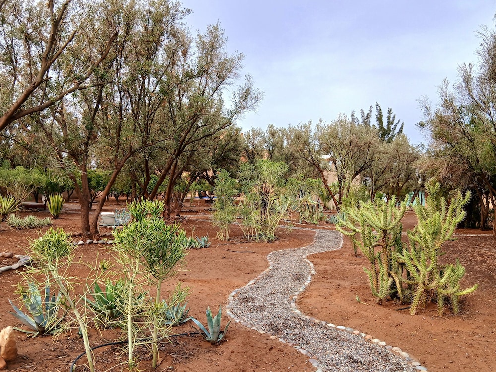 Riad Jardin des Orangers