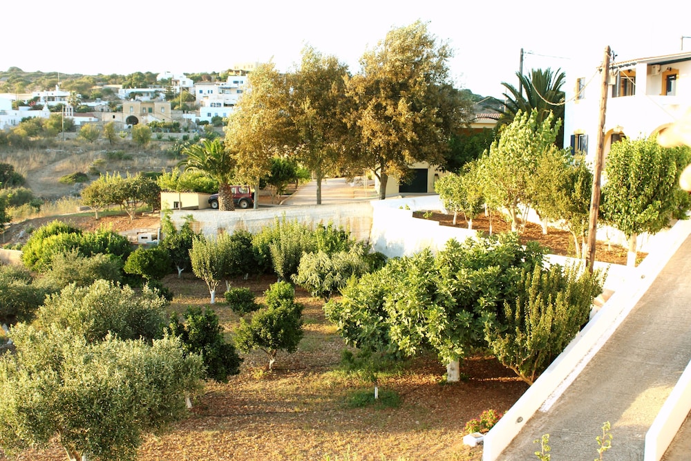 Photo 25