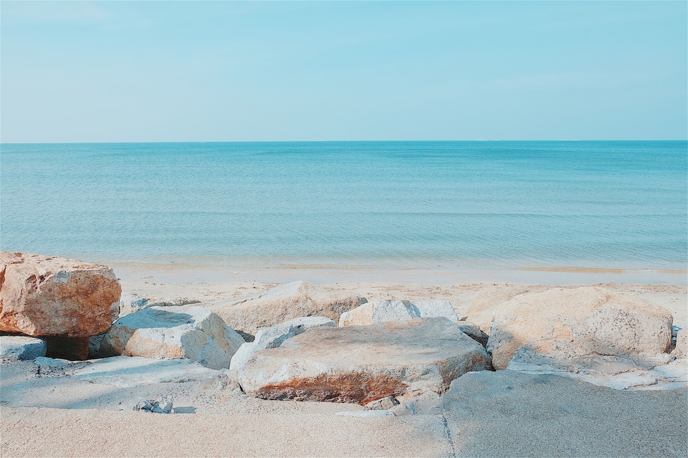 Sea Sand Trees