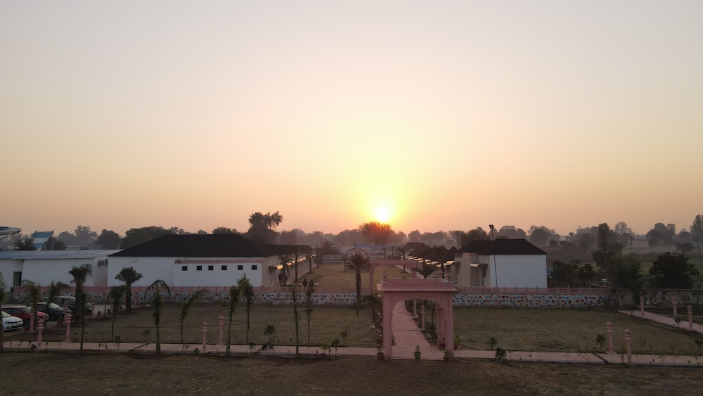 Photo 41
