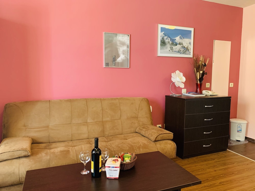 Bansko Vacations - Beautiful Cosy Studio Apartment in Bansko - Property Image 39