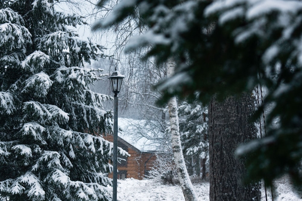 Cottage complex Ozerny Bereg