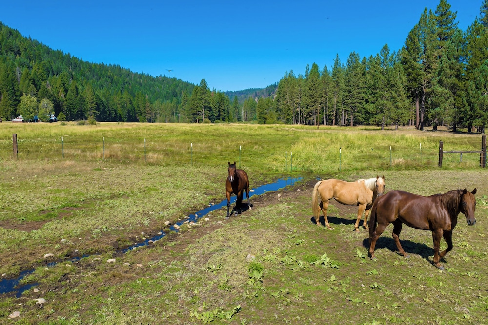 Dog-friendly 3BR on 200 Acres w/ River Access