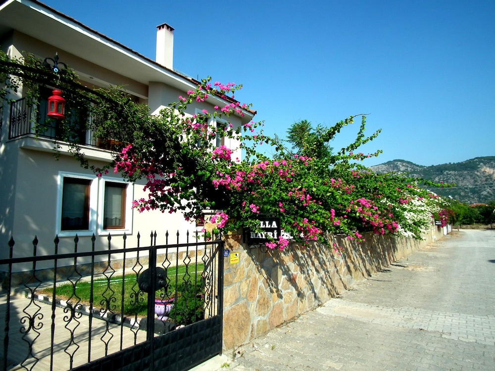 Photo 7